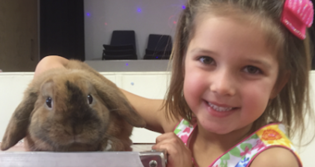 BIrthday party Shows Magic bunny and birthday girl